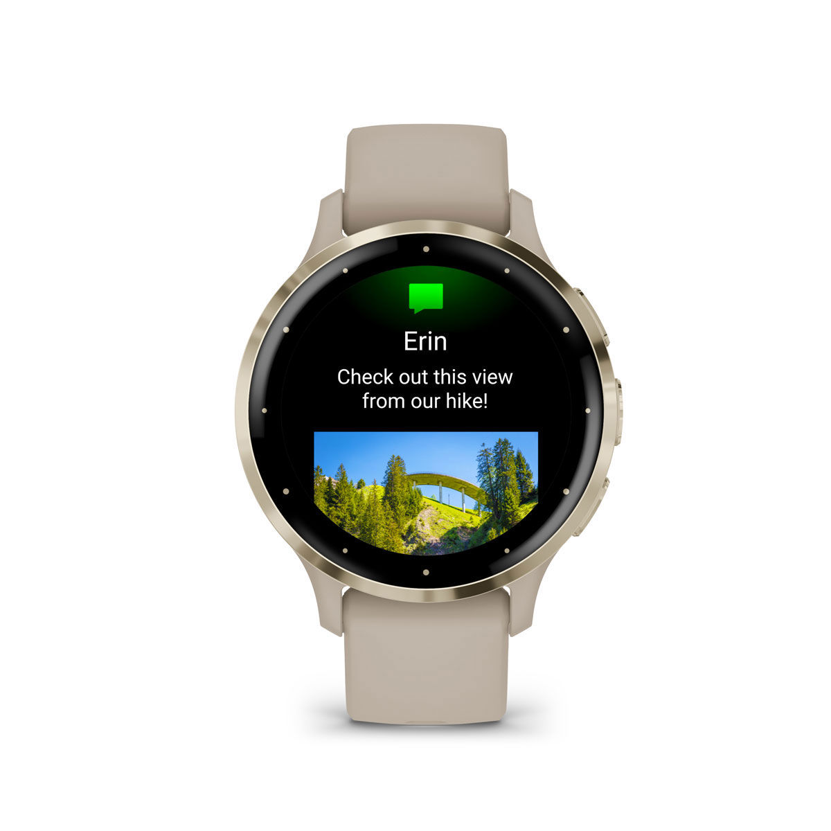 Garmin Venu 3S Watch - French Gray/Soft Gold