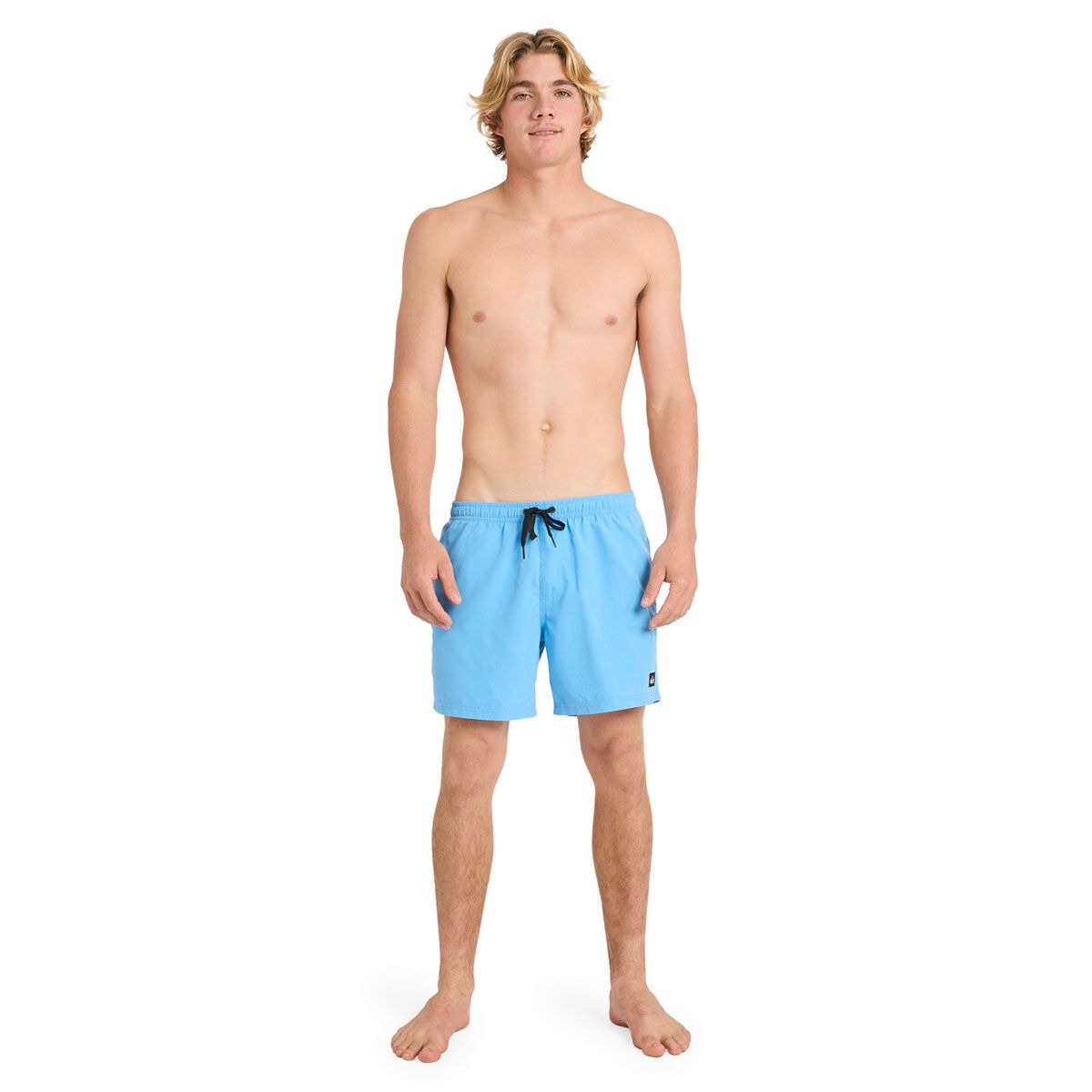 Quicksilver Mens Everyday Solid 15 inch Boardshorts