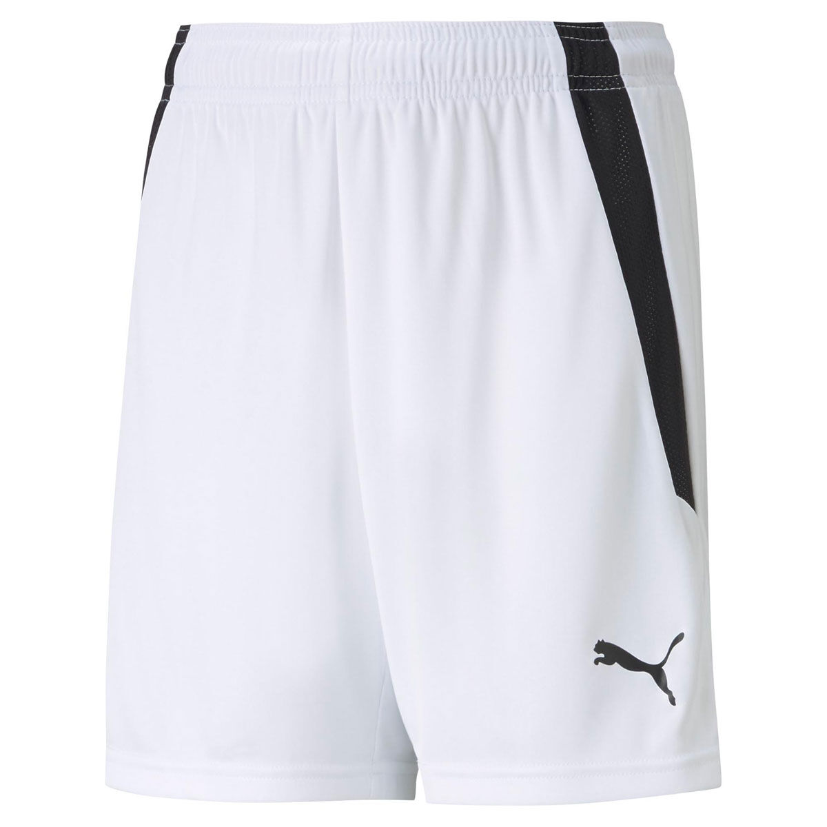 PUMA Junior Liga Football Shorts