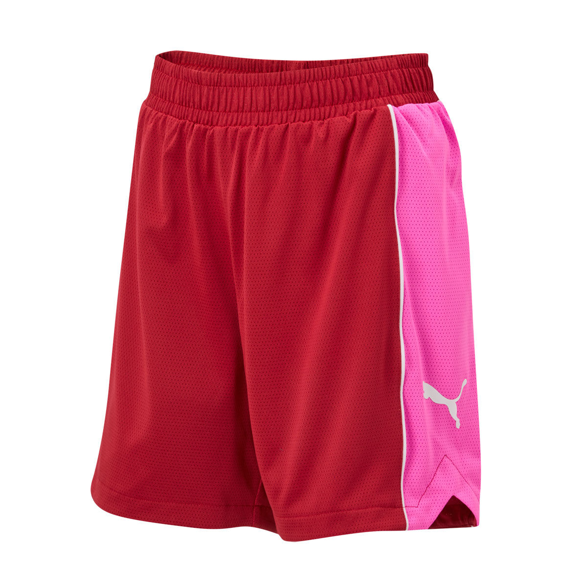 Puma Kids Junior Hoops Mesh Shorts