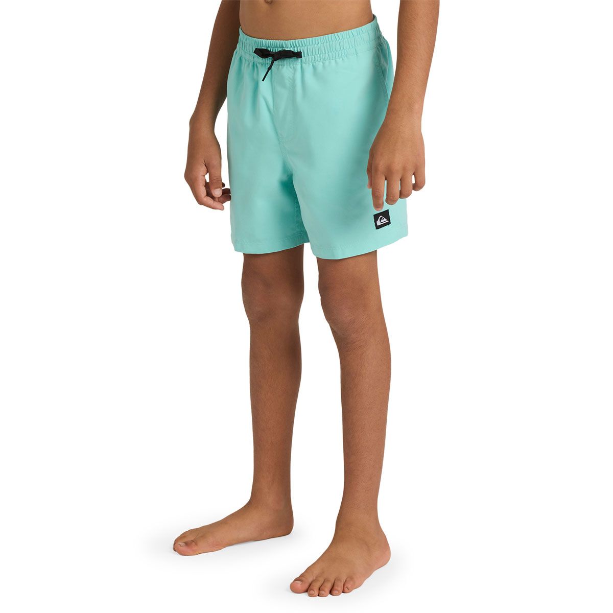Quicksilver Boys Everyday Solid 14 inch Boardshorts