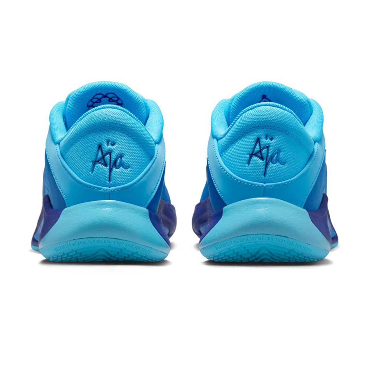 Nike A'One Indigo Girl Basketball Shoes