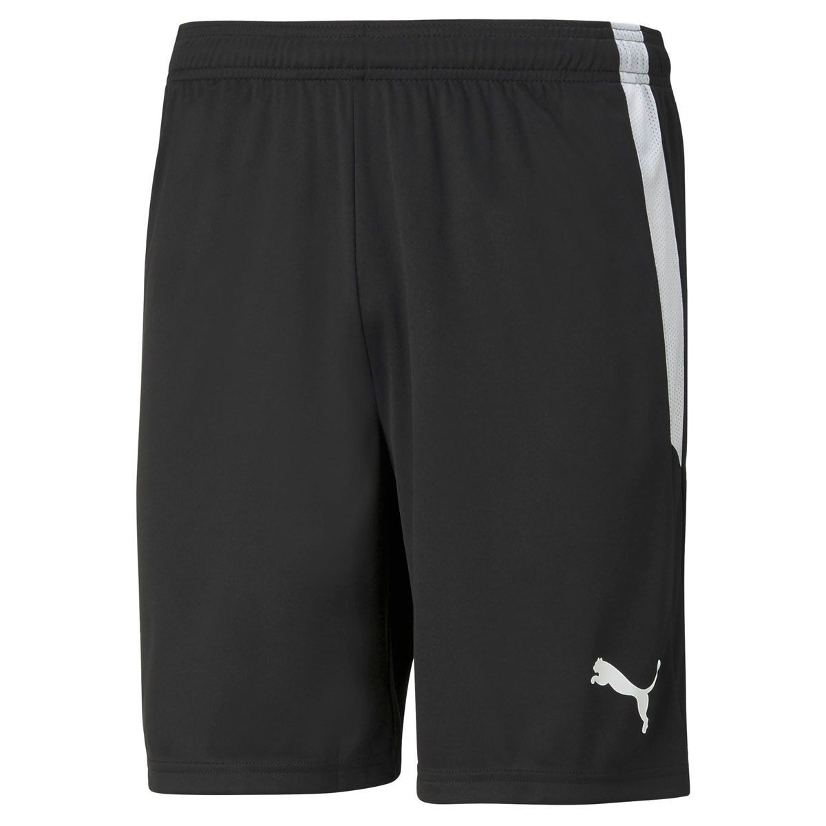 Puma TeamLIGA Training Mens Football Shorts