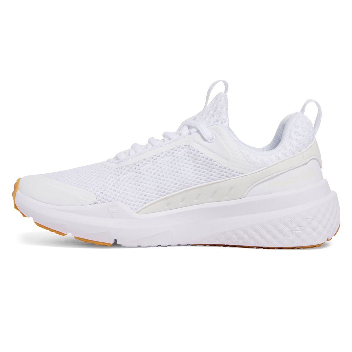 Under Armour Project Rock BSR 5 Mens Training Shoes