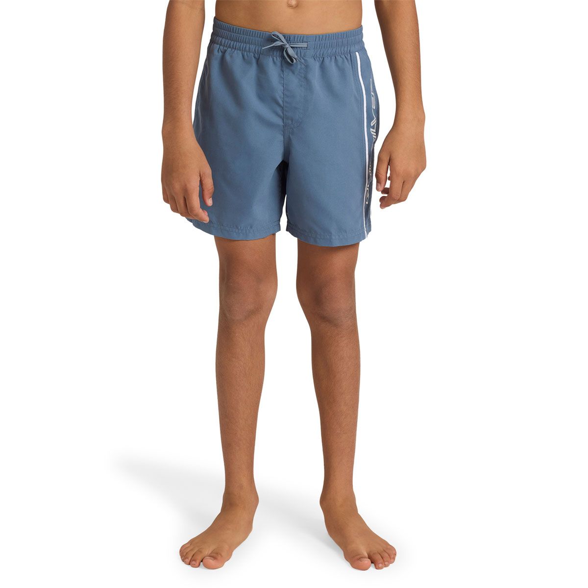 Quicksilver Boys Everyday Volley 14 inch Boardshorts