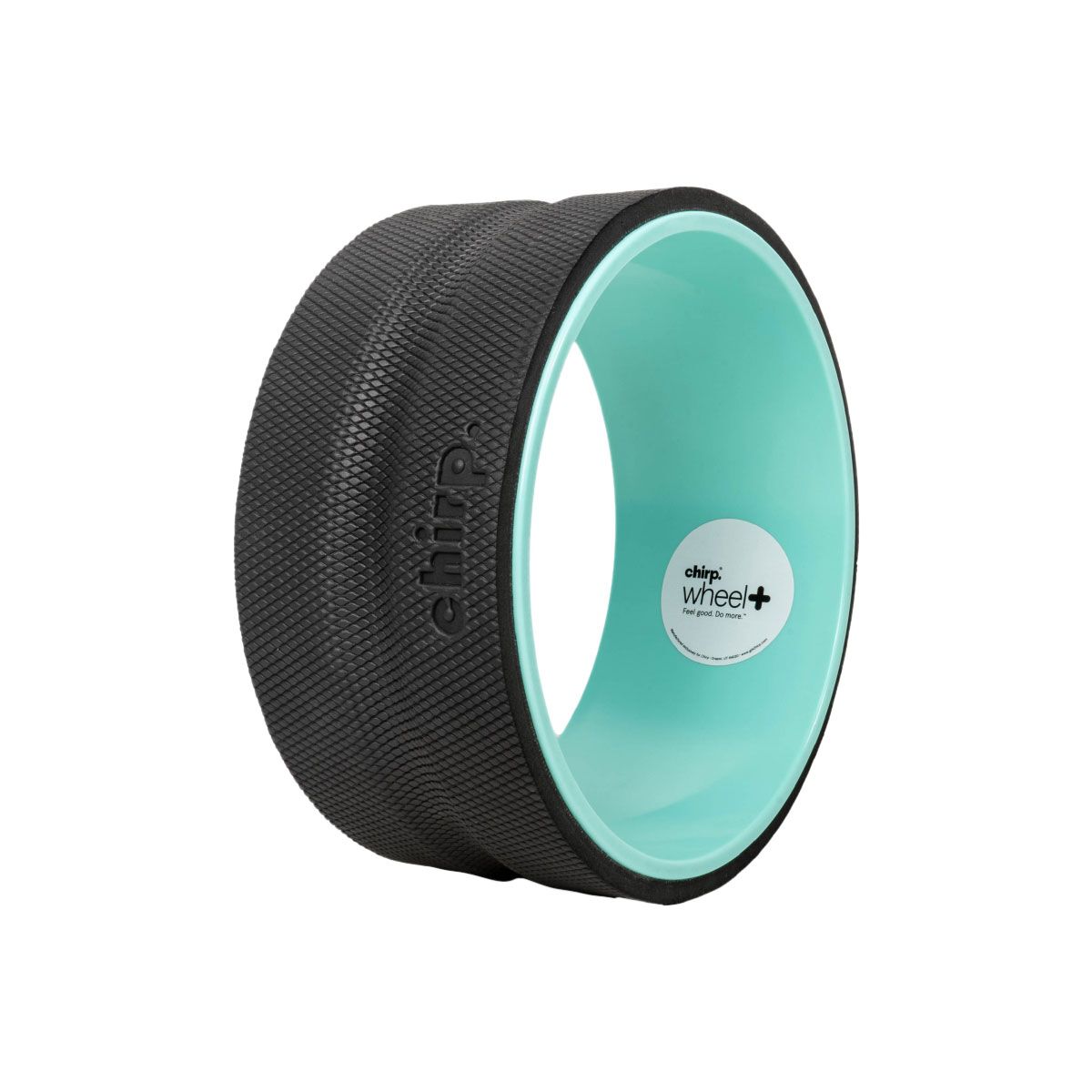 Chirp Wheel Plus 10 Inch Firm Foam Roller
