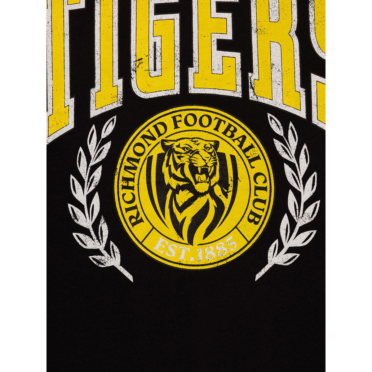 Richmond Tigers 2024 Mens Arch Graphic Tee