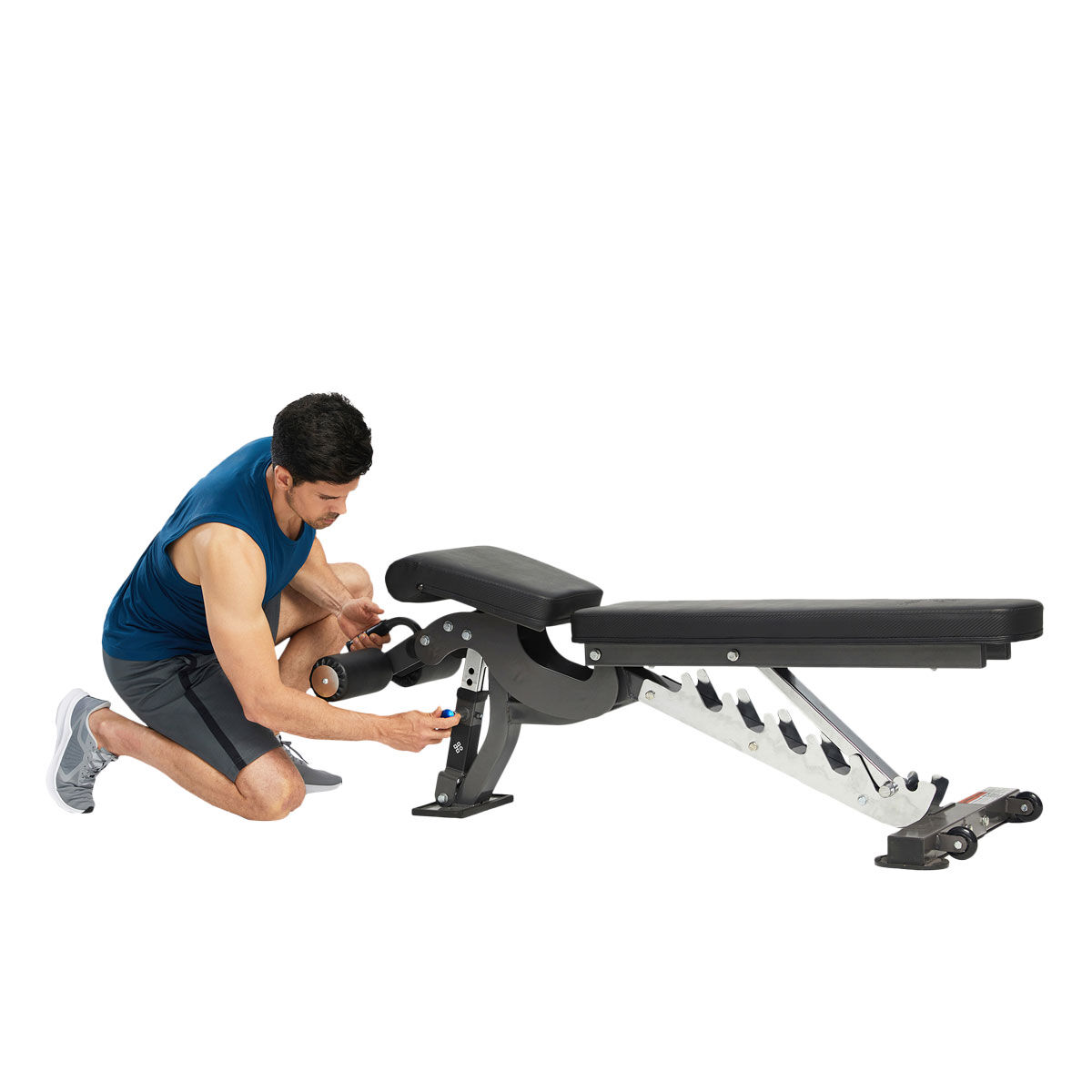 Celsius BC2 Pro F.I.D Bench