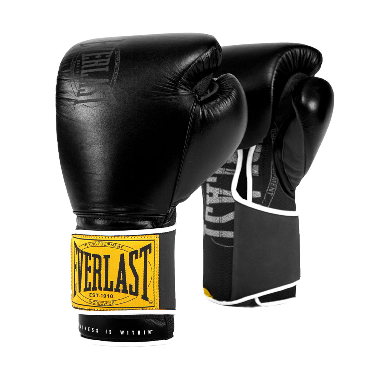 Everlast 1910 Classic Training Boxing Gloves