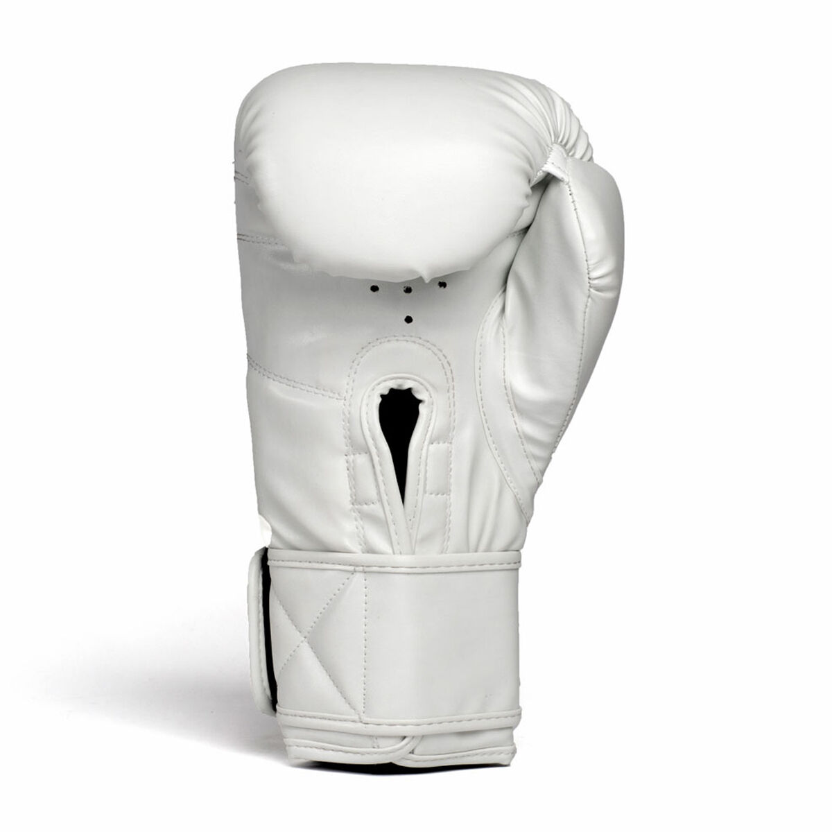 Everlast 1910 Boxing Gloves