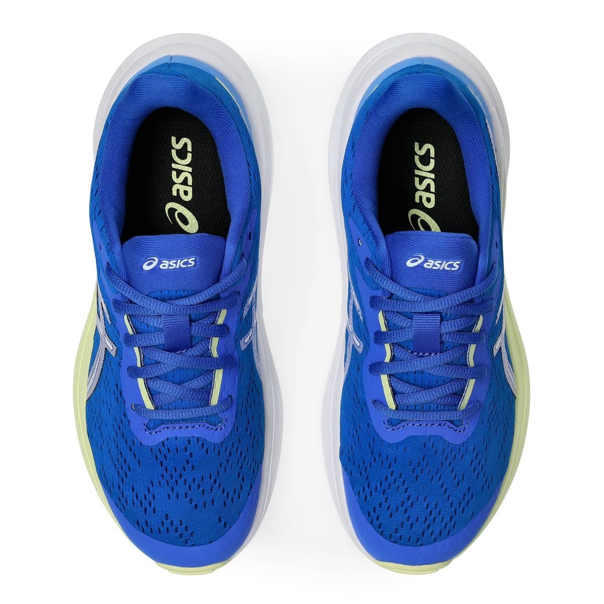 Asics GT 1000 13 GS Kids Running Shoes