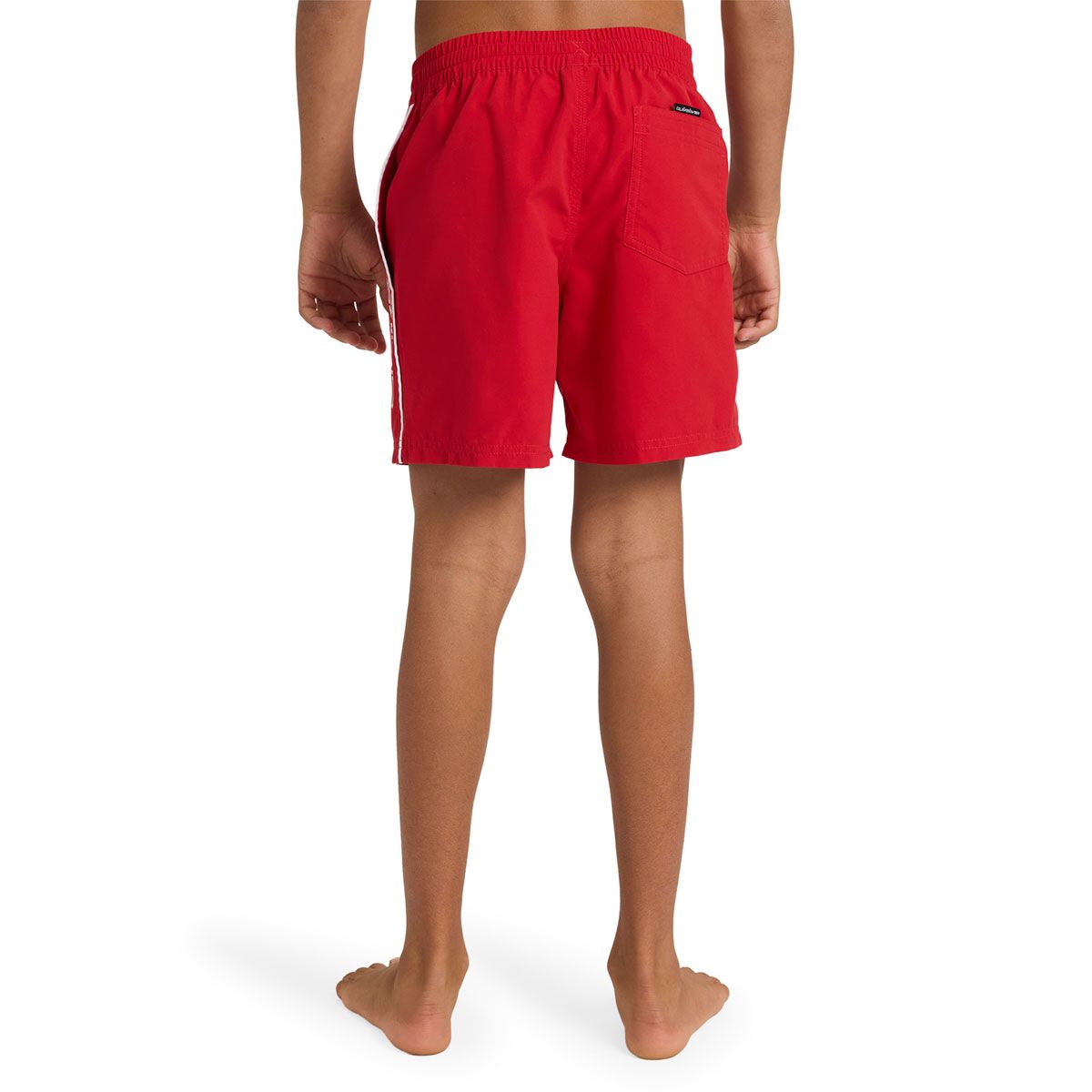 Quicksilver Boys Everyday Volley 14 inch Boardshorts