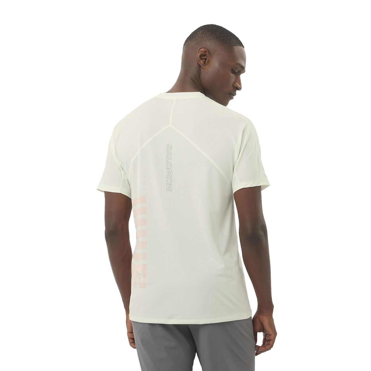 Salomon Mens Sense Aero GFX Tee