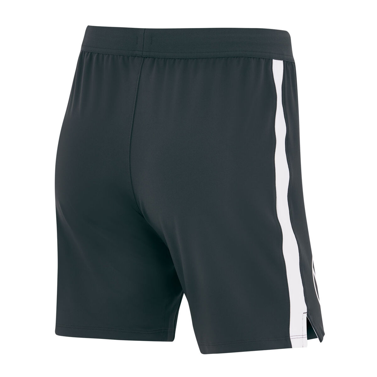 Sydney Swans 2024 Mens Training Shorts Black XXL