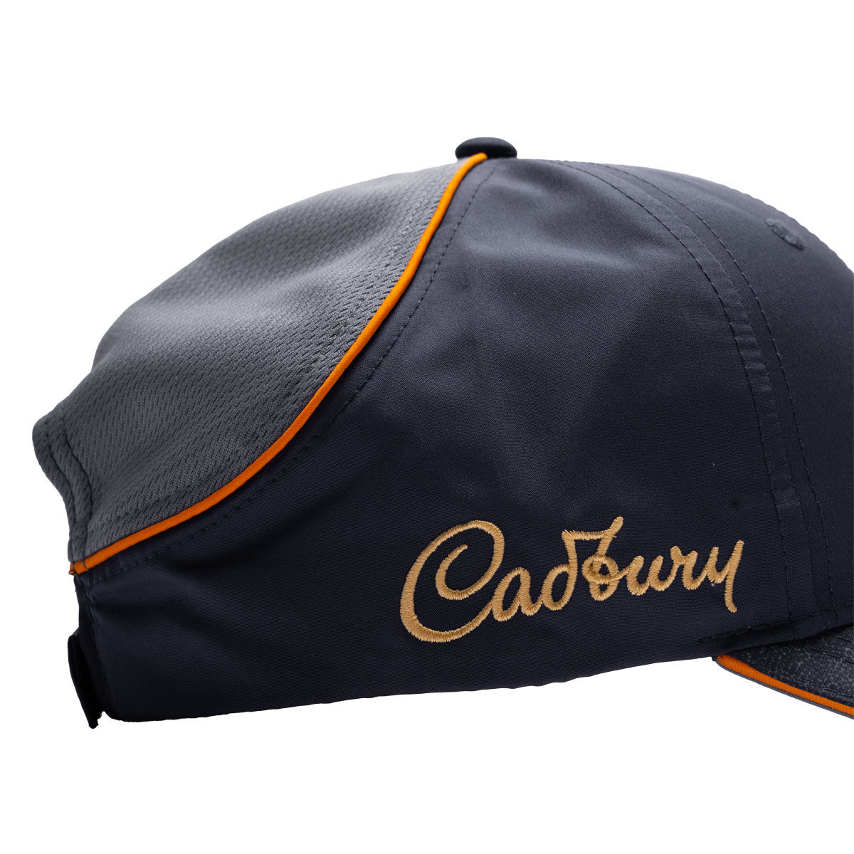 Wallabies Lions Tour 2025 Media Cap