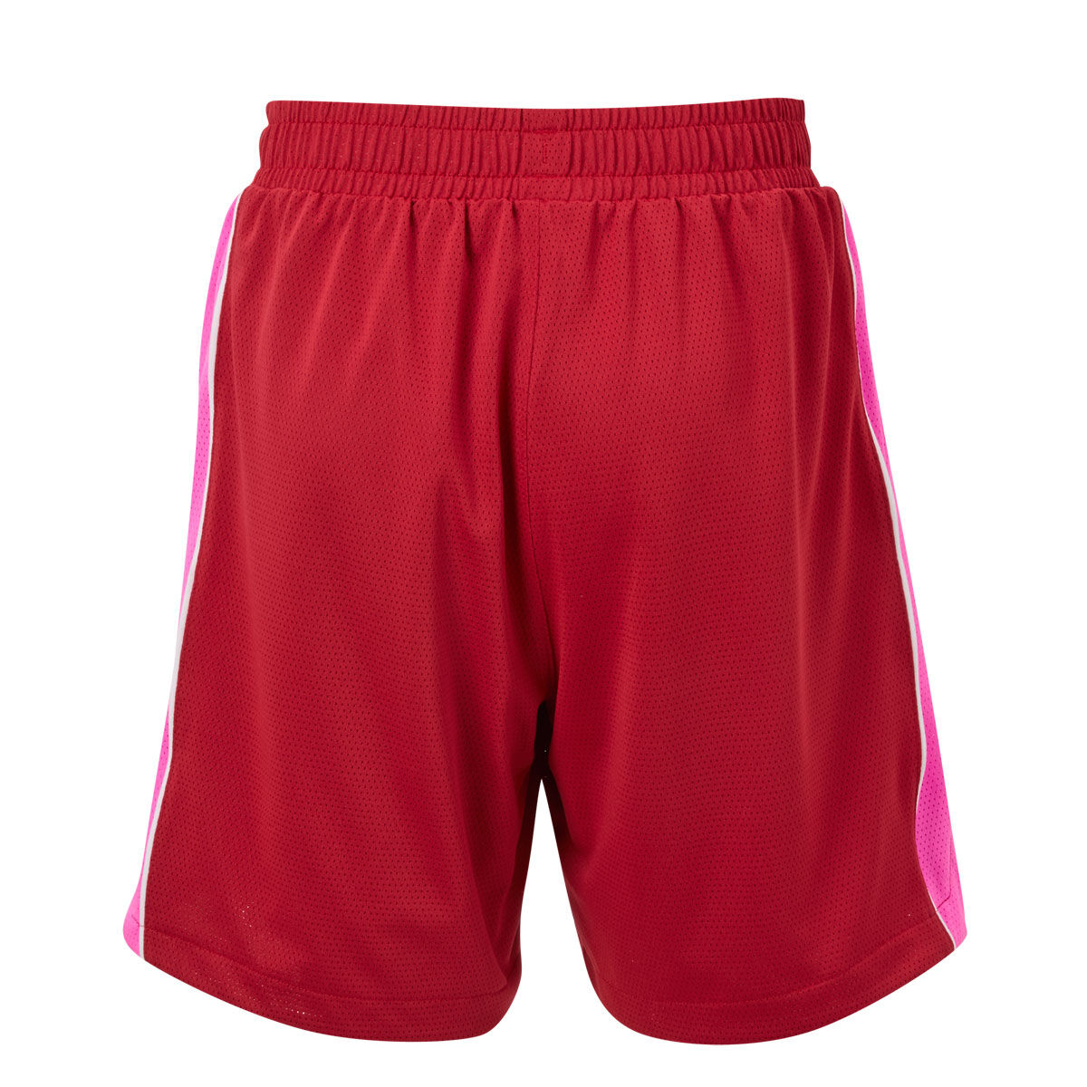 Puma Kids Junior Hoops Mesh Shorts