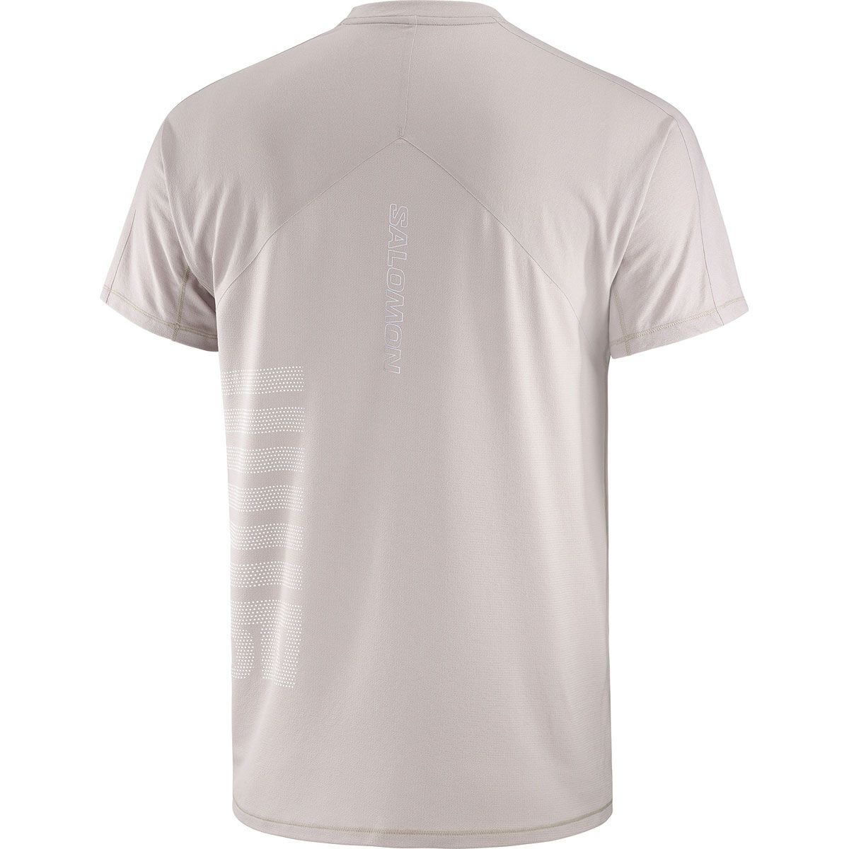 Salomon Mens Sense Aero GFX Tee