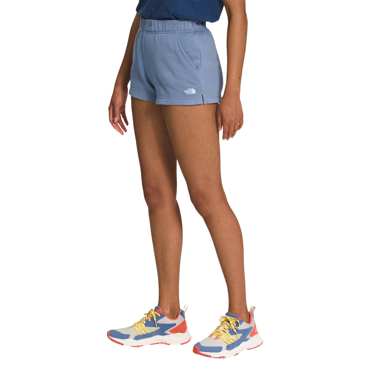 The North Face Womens Half Dome Logo Shorts