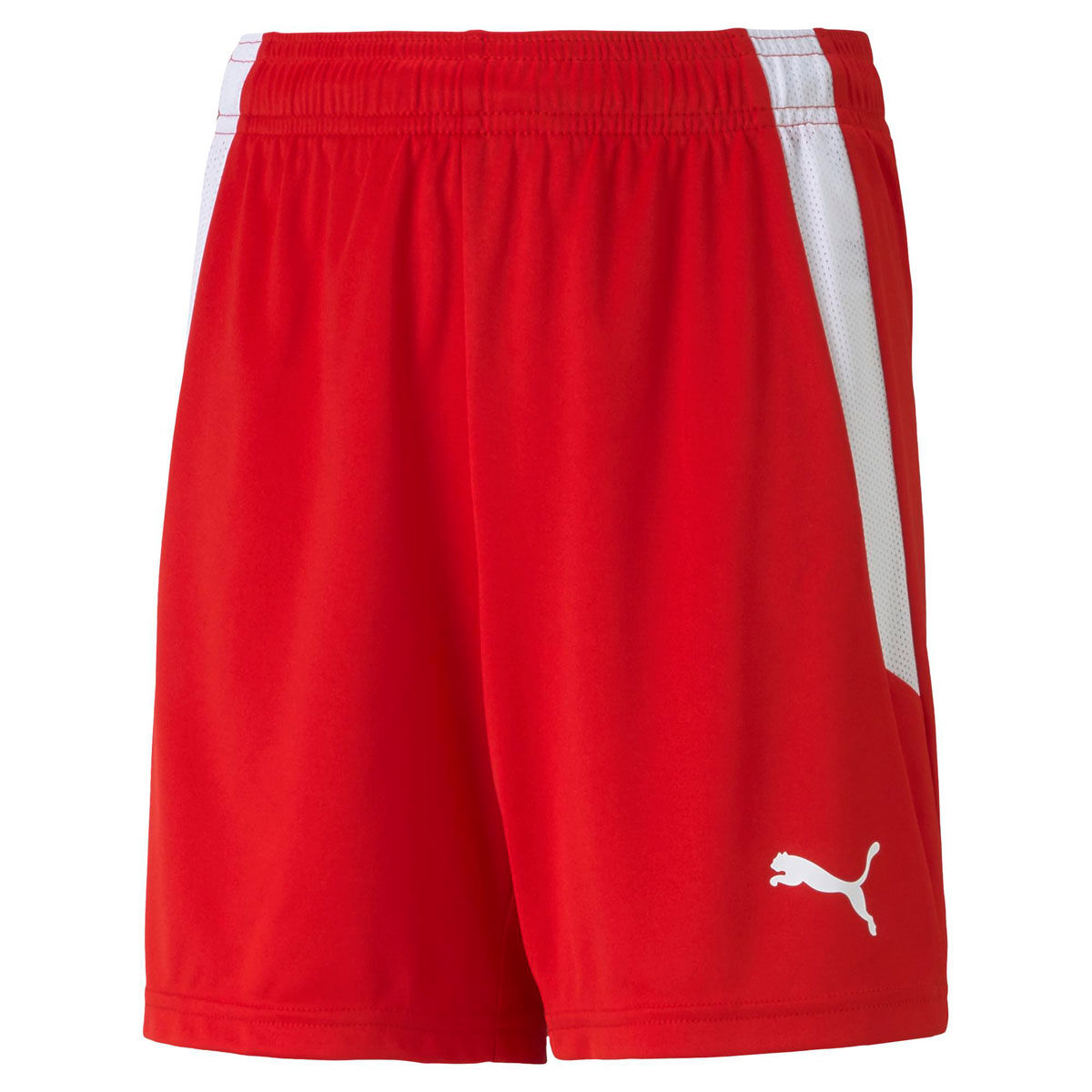 PUMA Junior Liga Football Shorts