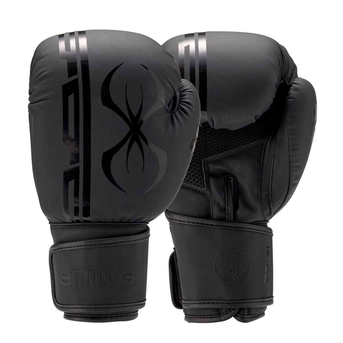 Sting Armaplus Boxing Gloves