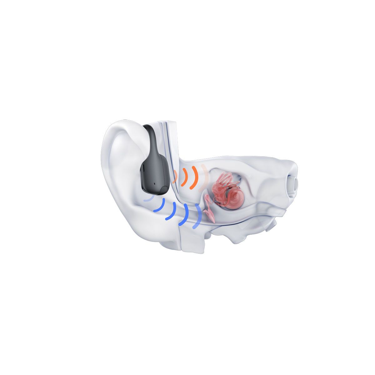 Shokz OpenRun Pro 2 Headphones