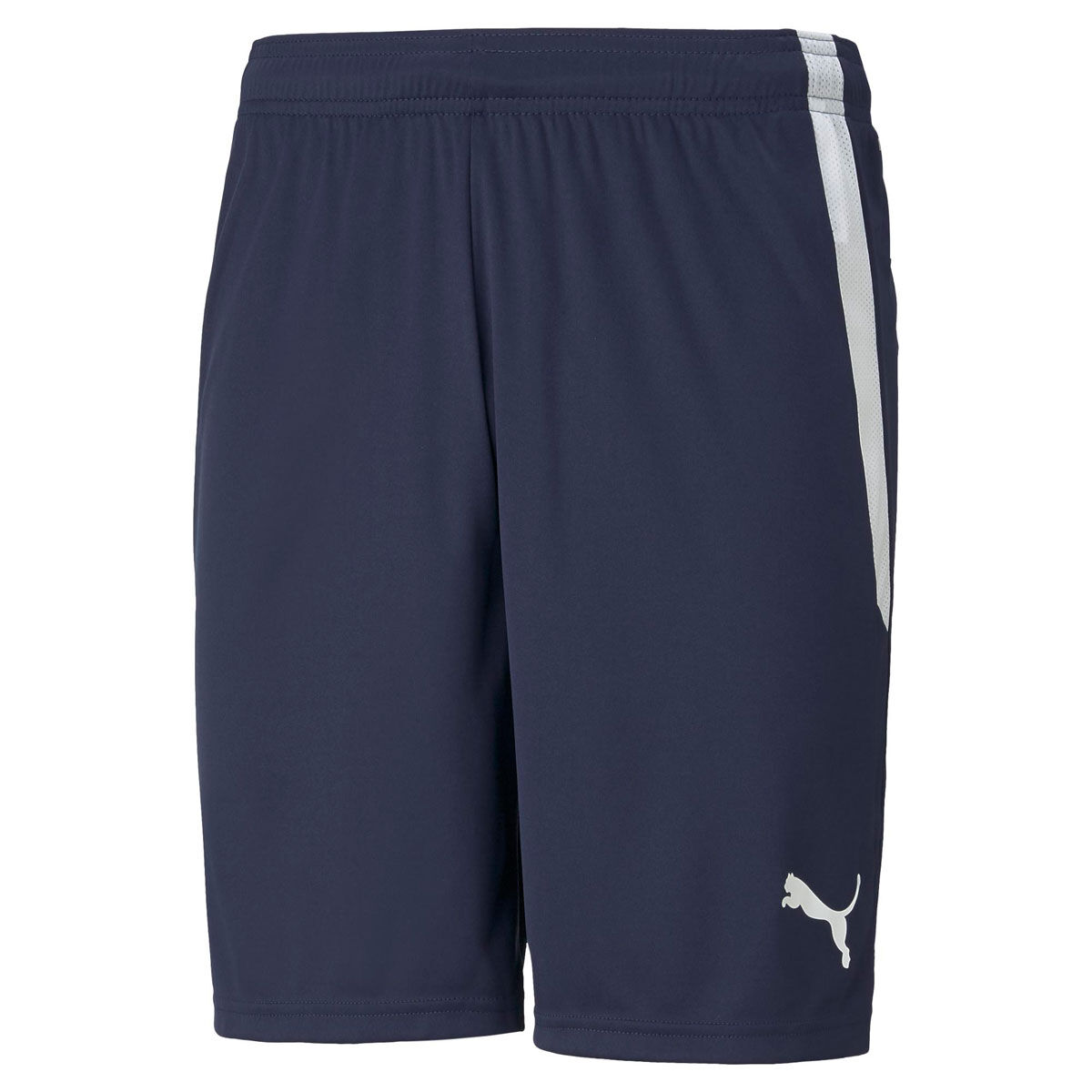Puma TeamLIGA Training Mens Football Shorts