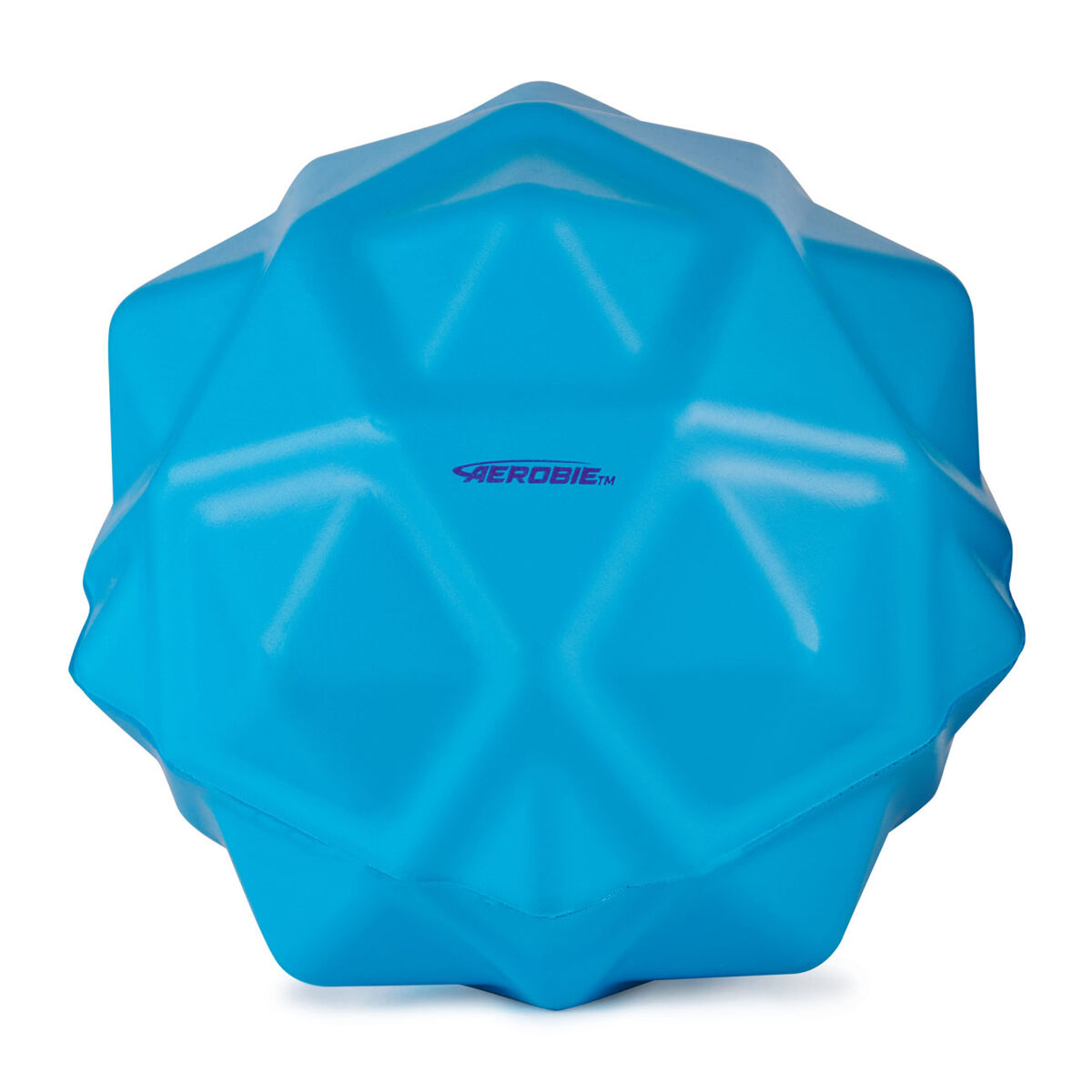 Aerobie Sonic Bounce