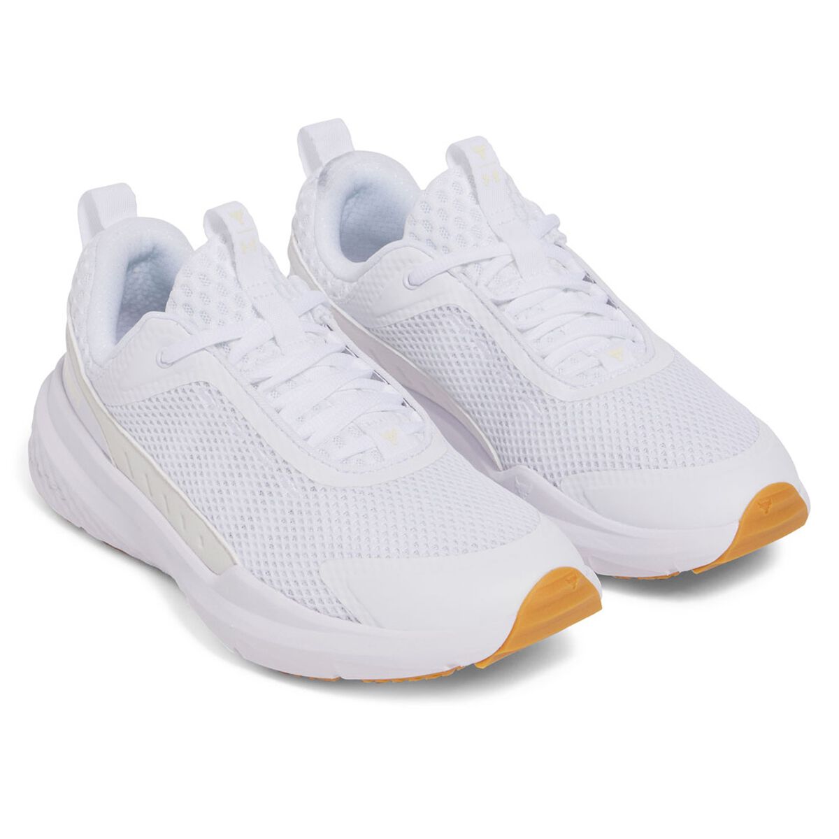 Under Armour Project Rock BSR 5 Mens Training Shoes