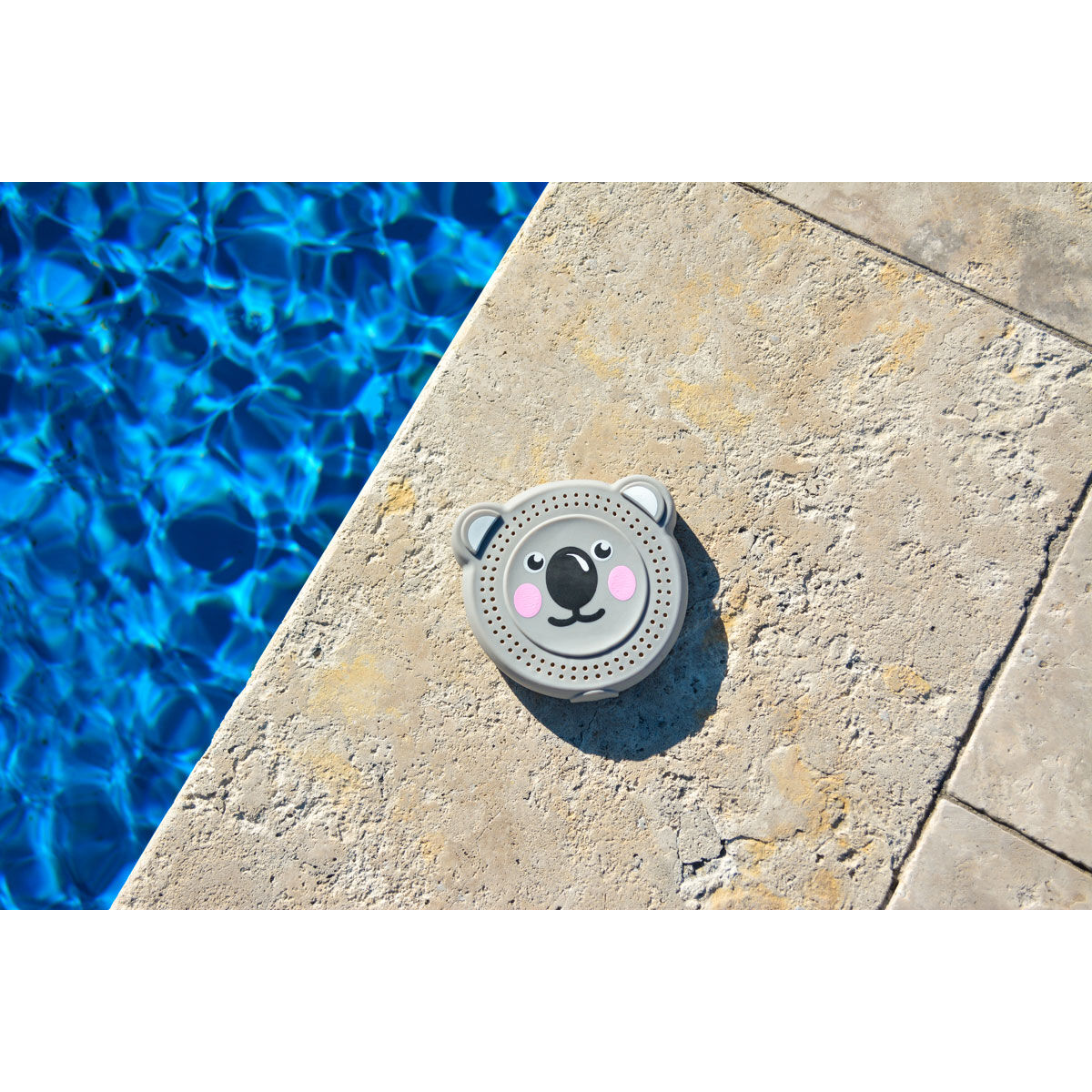 Verao Koala Animal Drencher