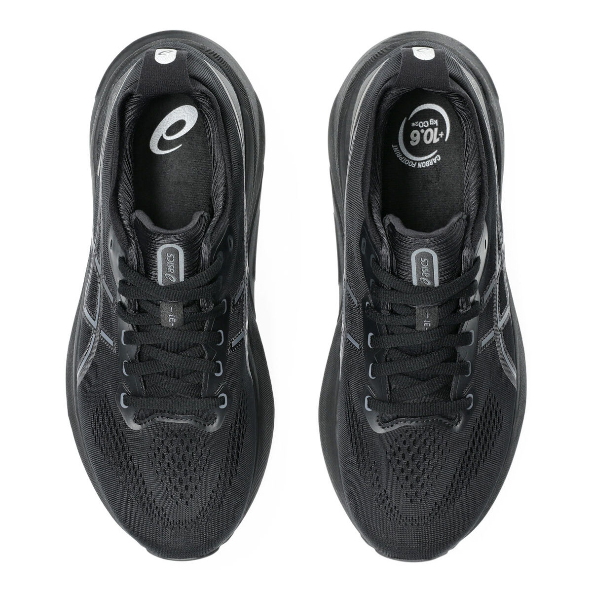 Asics GEL Kayano 31 2E Mens Running Shoes