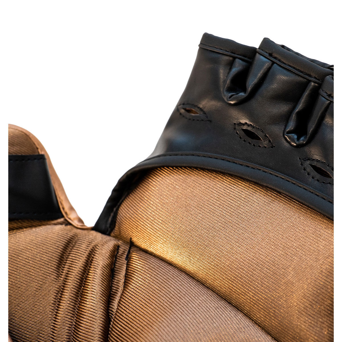 Everlast Titan Grappling Gloves