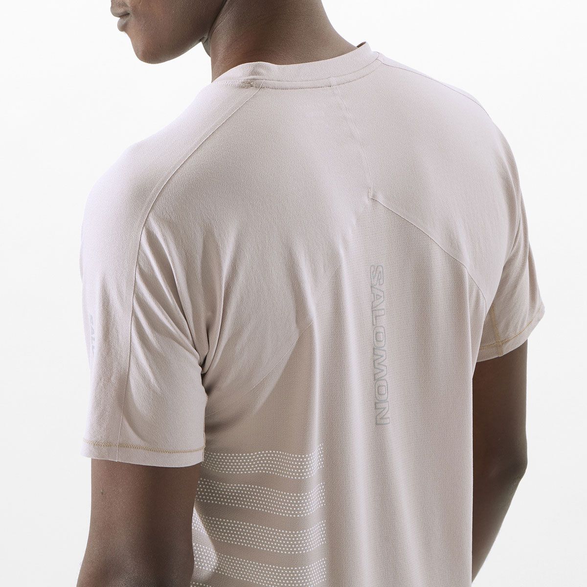 Salomon Mens Sense Aero GFX Tee