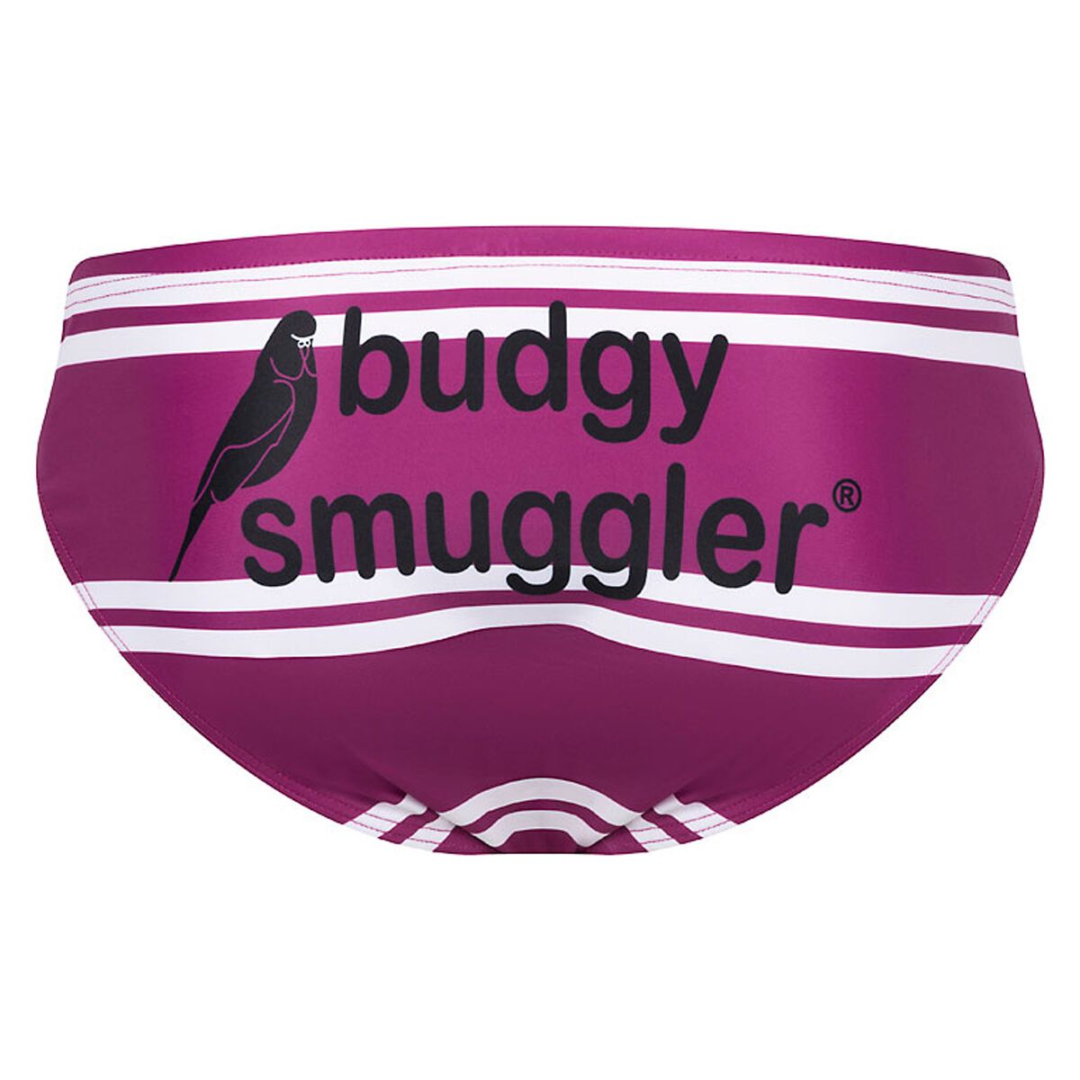 Budgy Smuggler Mens Manly Warringah Sea Eagles Retro Briefs