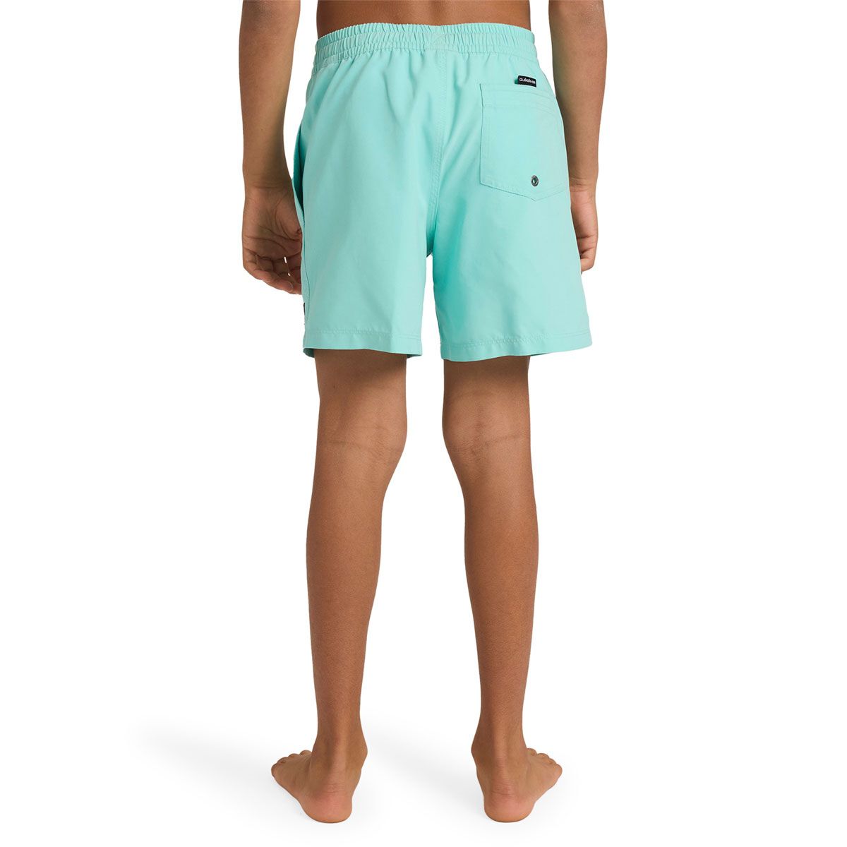 Quicksilver Boys Everyday Solid 14 inch Boardshorts