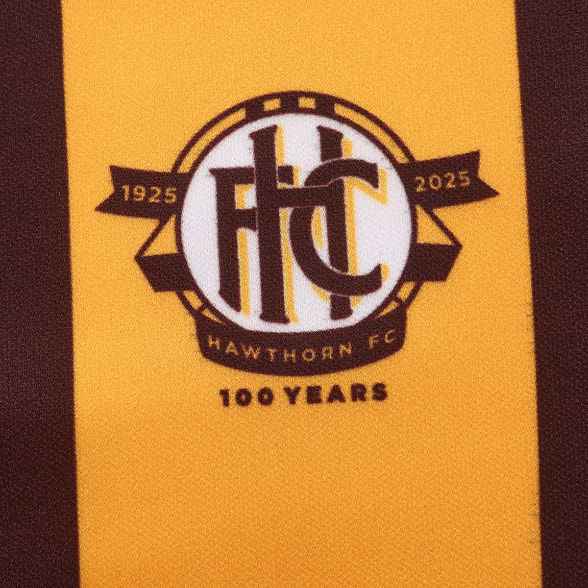 Hawthorn Hawks Kids 2025 Mens 100 Year Home Guernsey