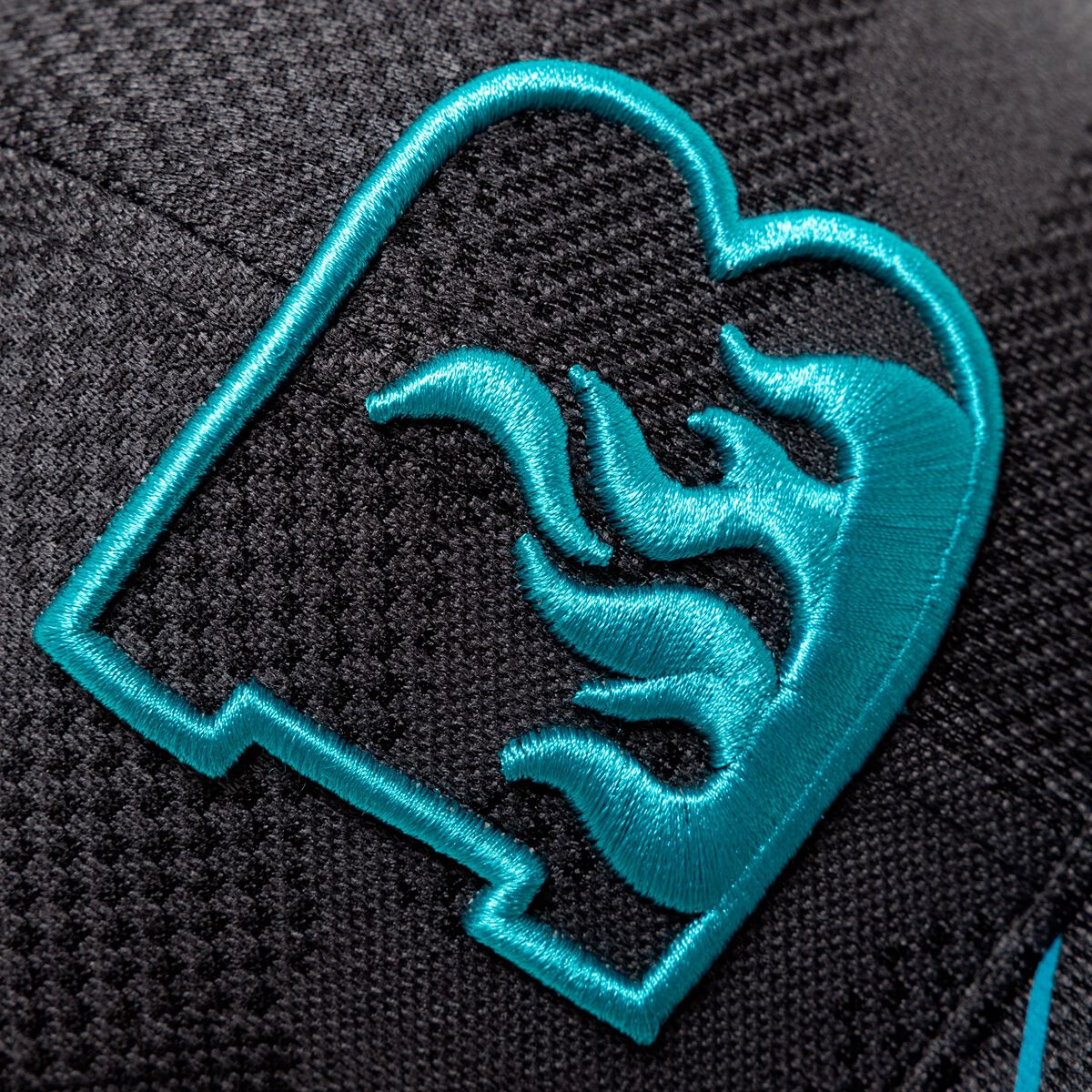 Brisbane Heat 2024/25 Training Cap