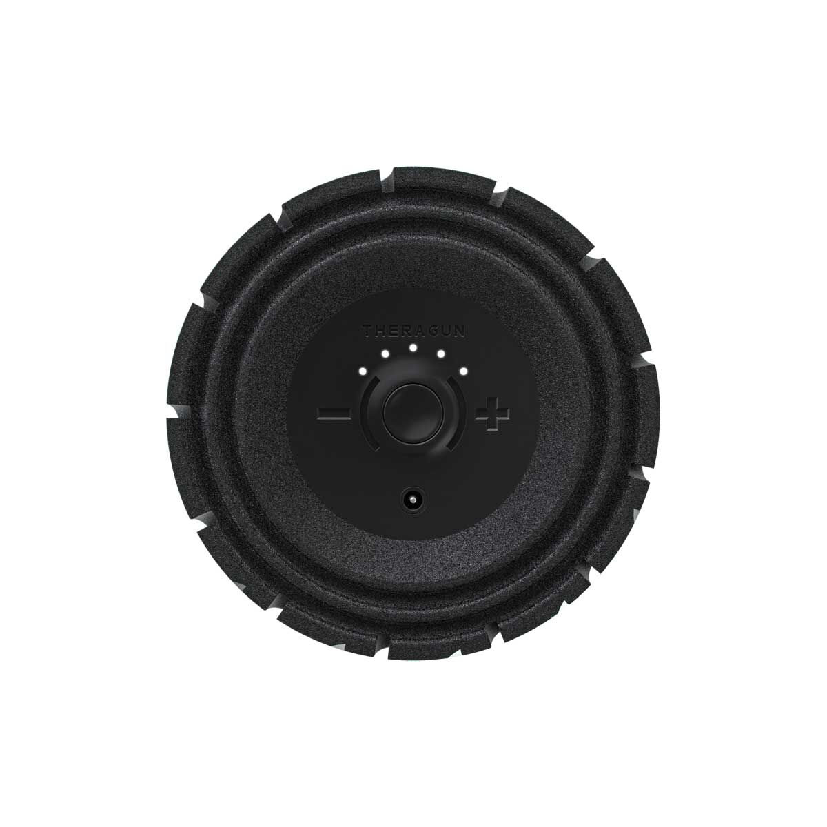 Theragun Wave Roller