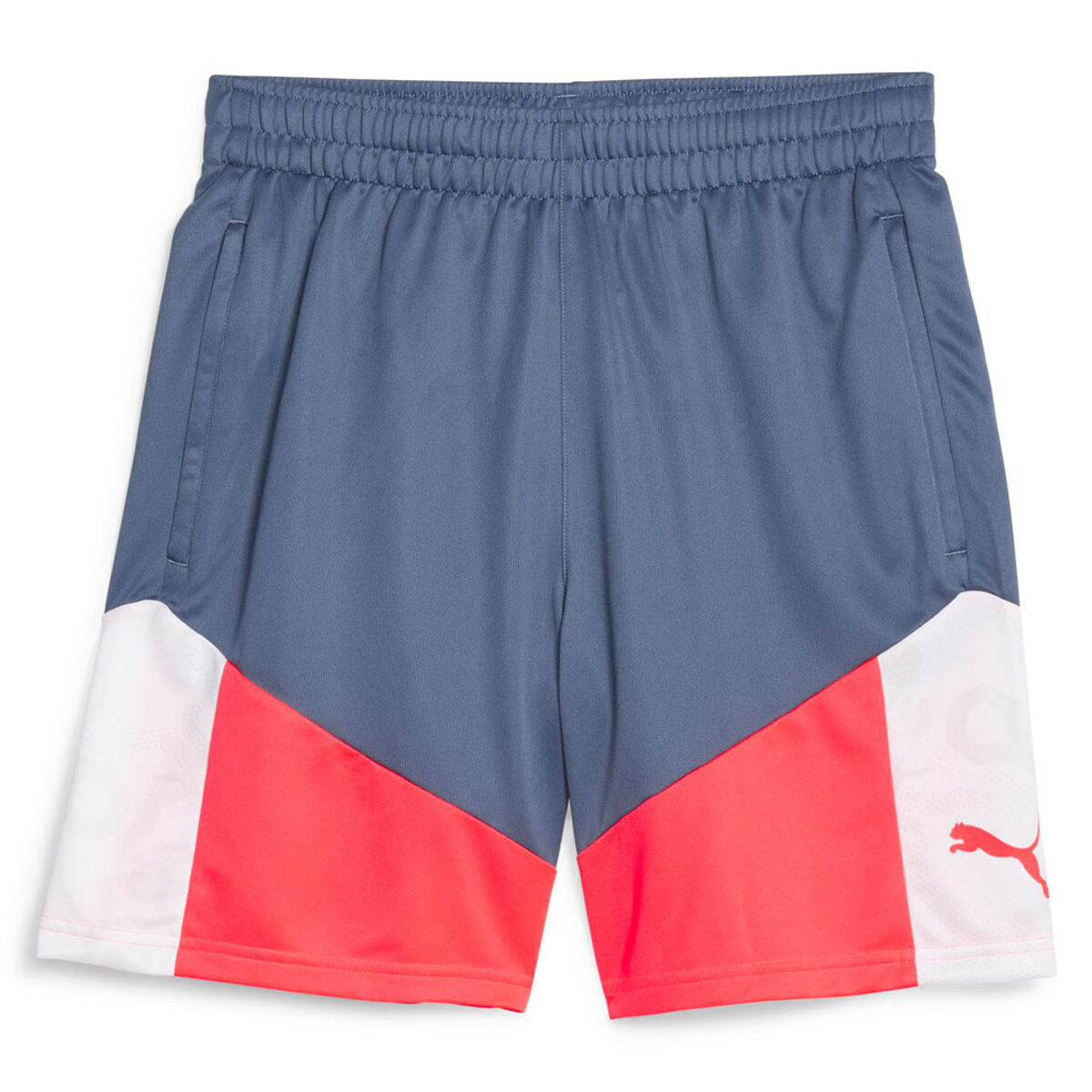 Puma Mens IndividualCUP Football Training Shorts