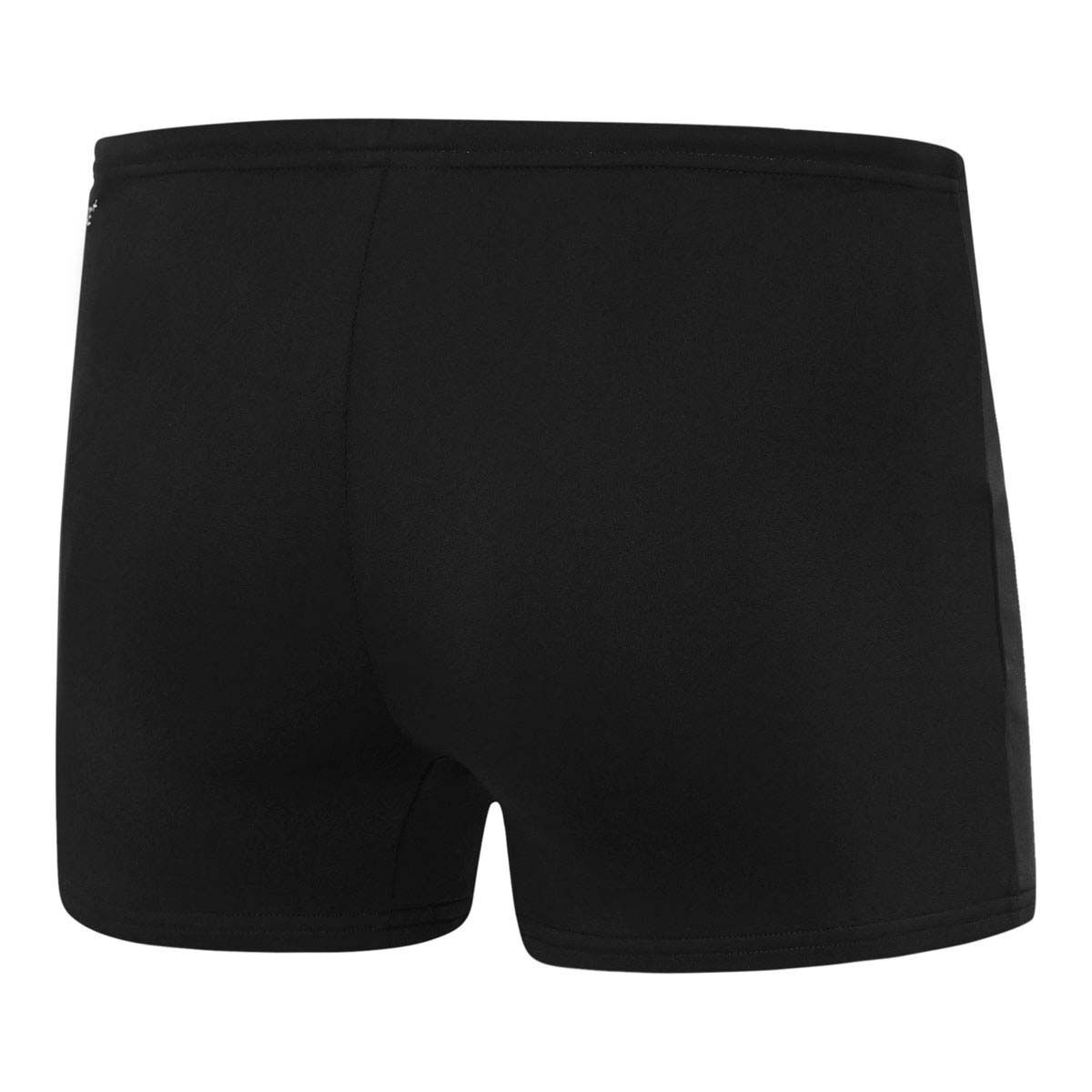 Speedo Mens Basic Aqua Shorts
