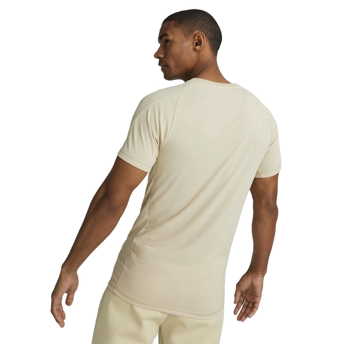 PUMA Mens Evostripe Training Tee