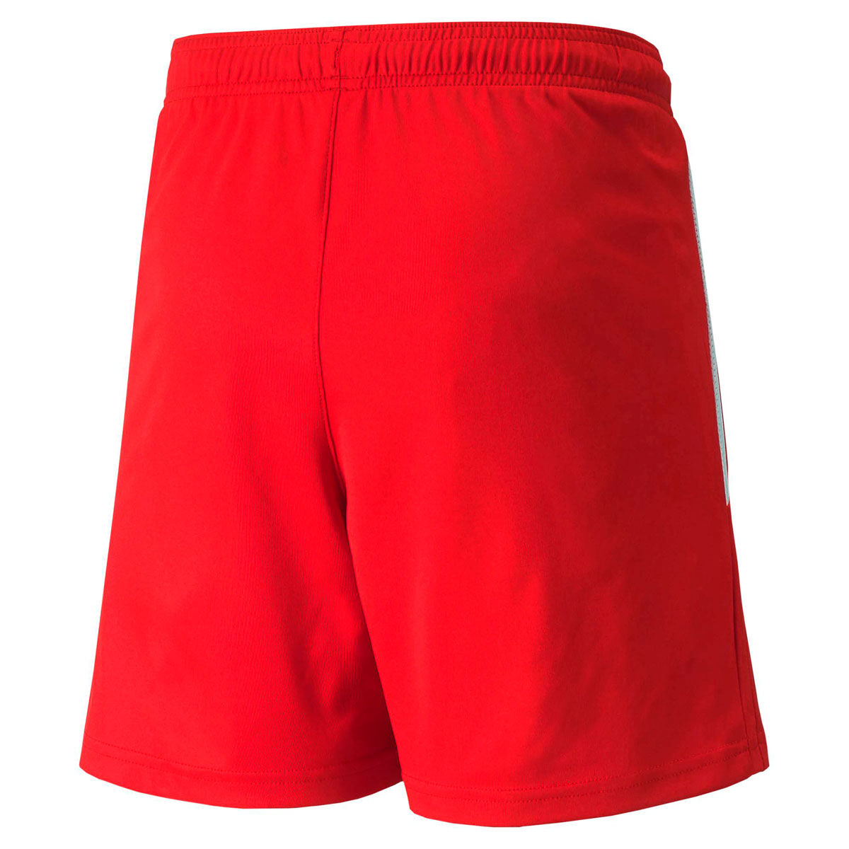 PUMA Junior Liga Football Shorts