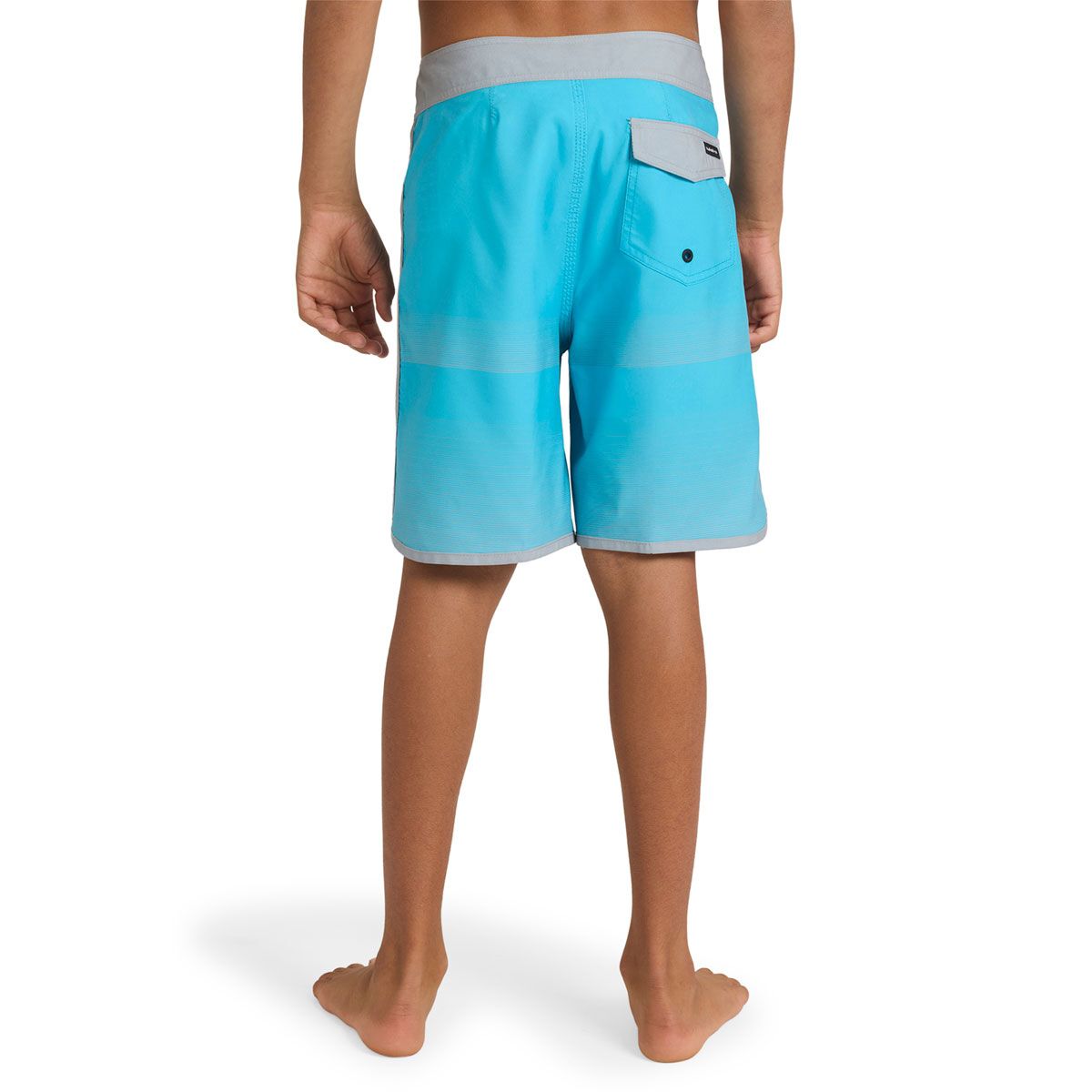 Quicksilver Boys Everyday Stripe 17 inch Boardshorts