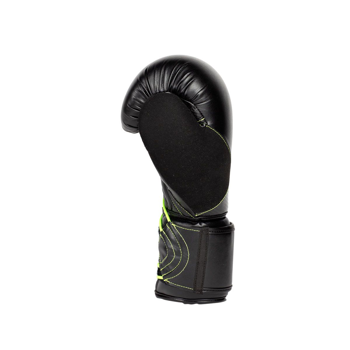 Everlast Protex Boxing Glove