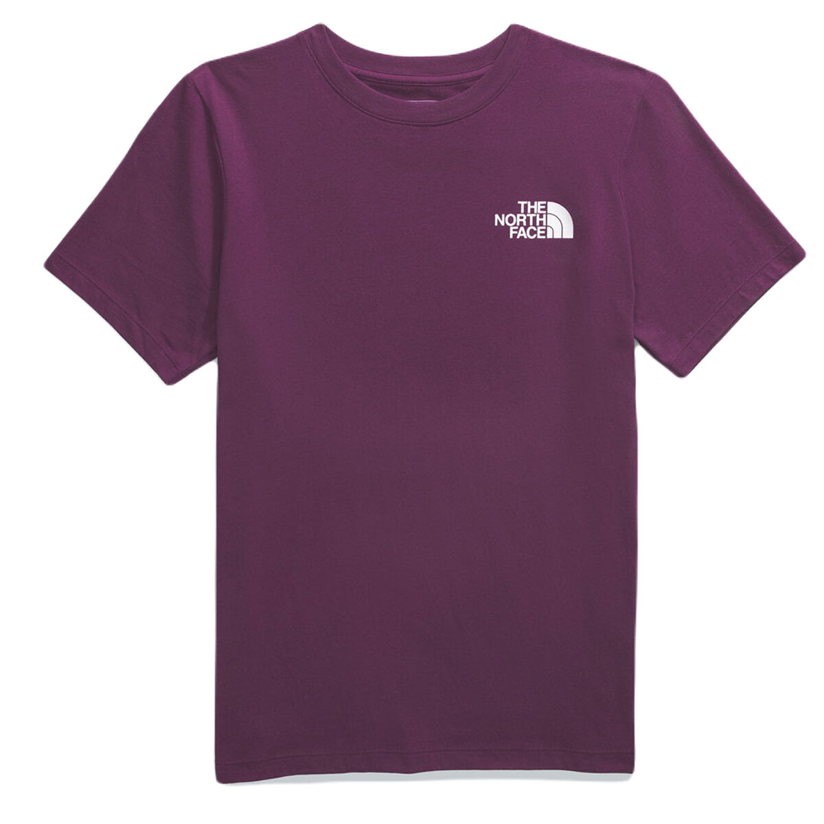 The North Face Womens Box NSE Tee