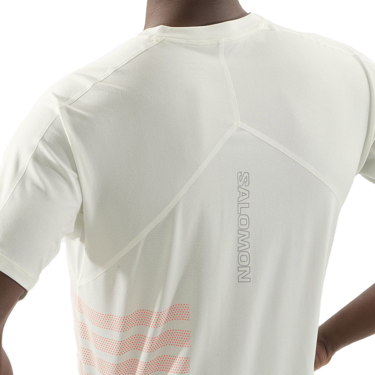 Salomon Mens Sense Aero GFX Tee