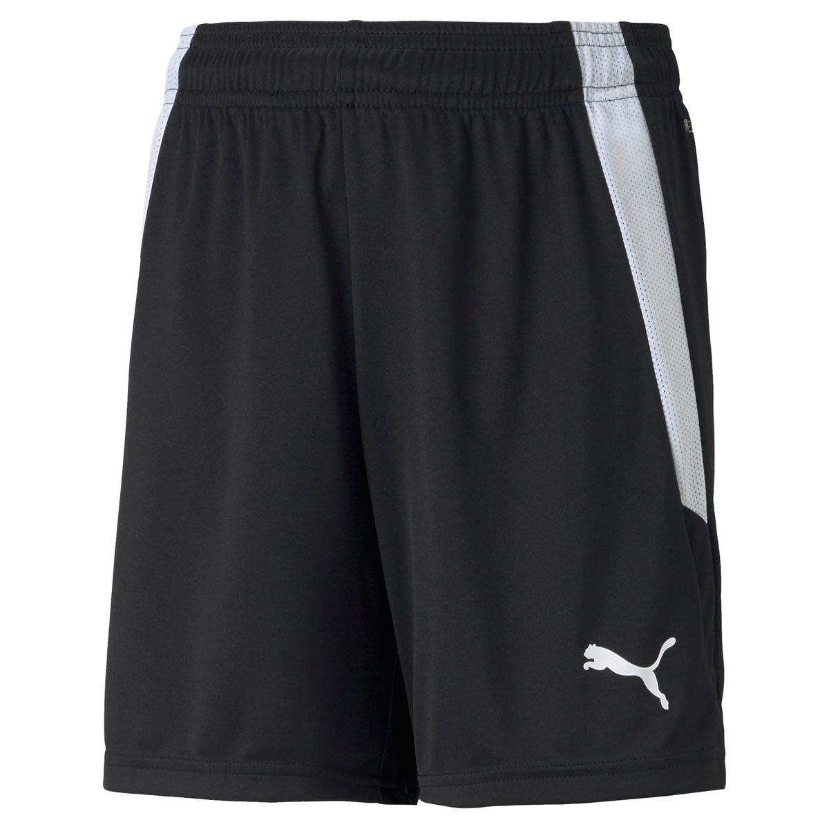 PUMA Junior Liga Football Shorts