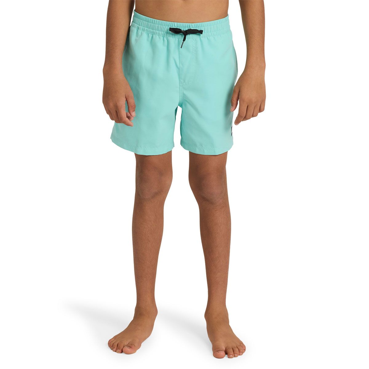 Quicksilver Boys Everyday Solid 14 inch Boardshorts