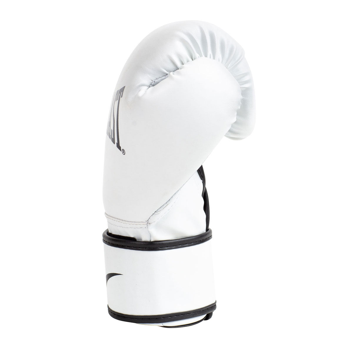 Everlast Core Training Boxing Gloves