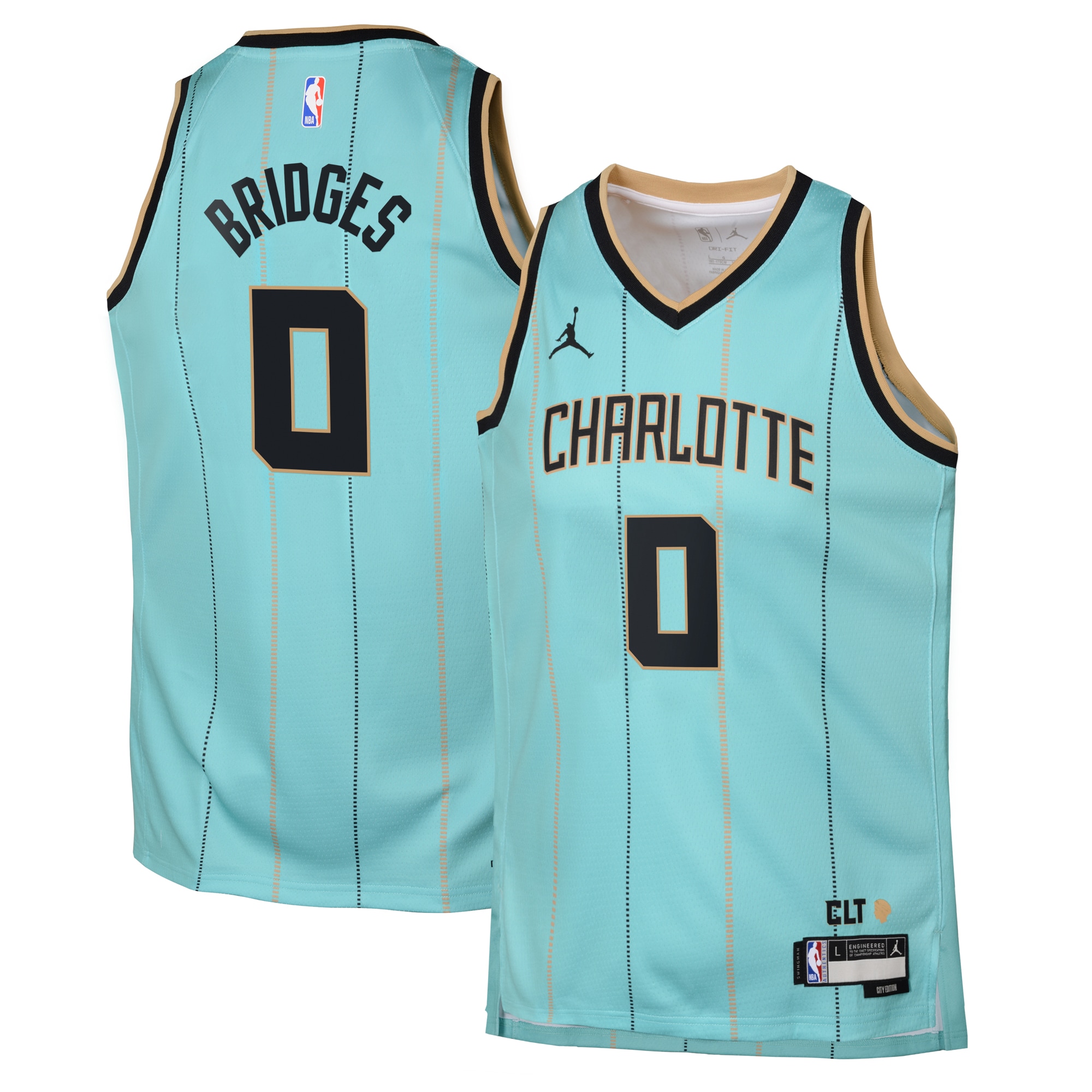 Camiseta Jordan Brand City Edition Swingman de los Charlotte Hornets 2024 Verde azulado Miles Bridges Juvenil NBA Jersey Men's