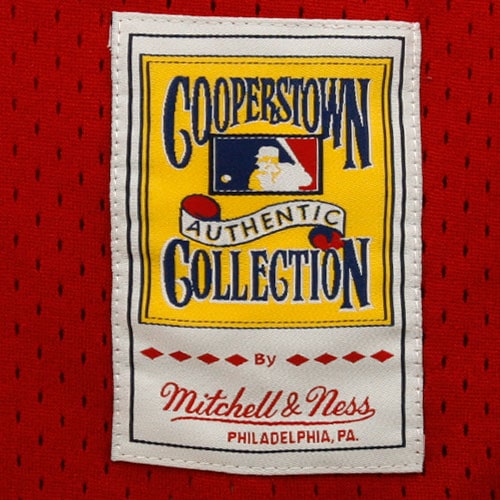 Cincinnati Reds Johnny Bench Mitchell Ness Red 1983 Cooperstown Collection Mesh Batting Practice MLB Jersey Men's